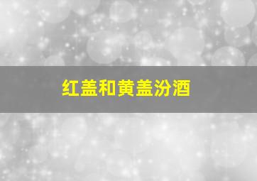 红盖和黄盖汾酒