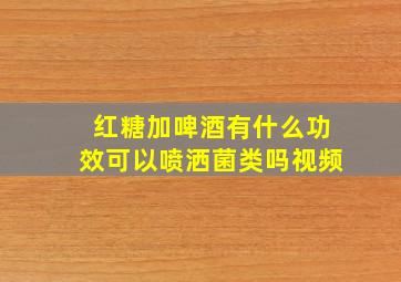 红糖加啤酒有什么功效可以喷洒菌类吗视频