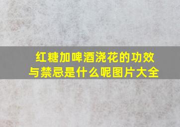 红糖加啤酒浇花的功效与禁忌是什么呢图片大全