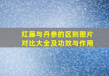 红藤与丹参的区别图片对比大全及功效与作用