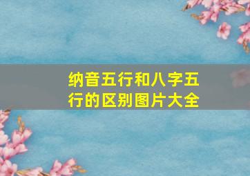 纳音五行和八字五行的区别图片大全