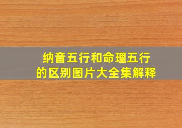 纳音五行和命理五行的区别图片大全集解释