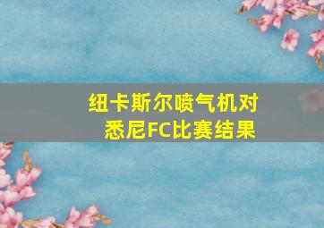 纽卡斯尔喷气机对悉尼FC比赛结果