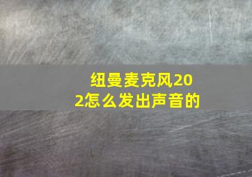 纽曼麦克风202怎么发出声音的