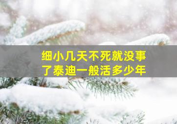 细小几天不死就没事了泰迪一般活多少年