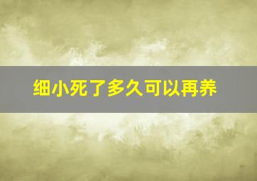 细小死了多久可以再养