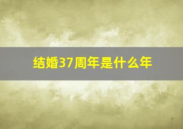 结婚37周年是什么年