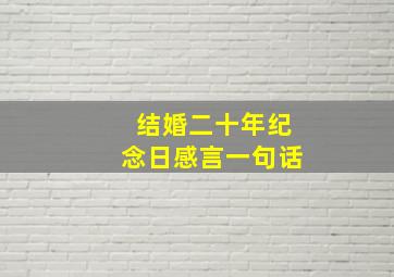 结婚二十年纪念日感言一句话