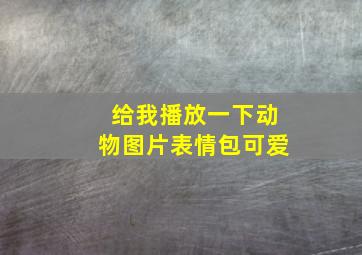 给我播放一下动物图片表情包可爱