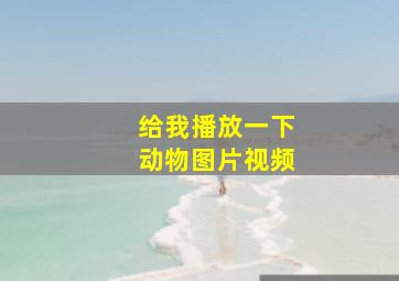 给我播放一下动物图片视频