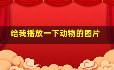 给我播放一下动物的图片