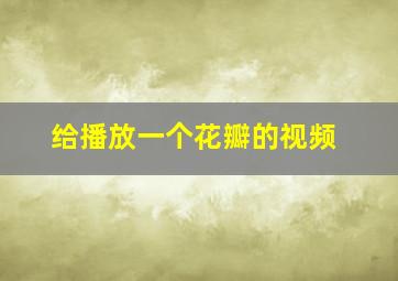 给播放一个花瓣的视频