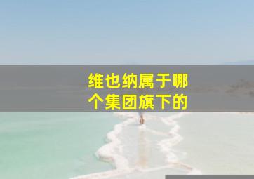 维也纳属于哪个集团旗下的