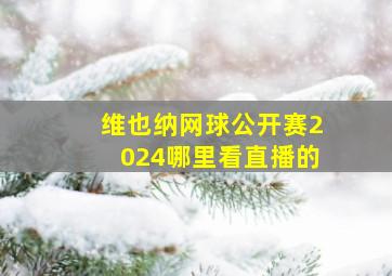 维也纳网球公开赛2024哪里看直播的