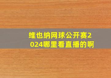 维也纳网球公开赛2024哪里看直播的啊