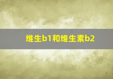 维生b1和维生素b2