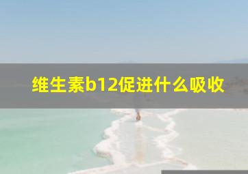 维生素b12促进什么吸收