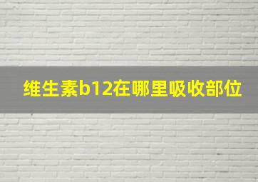 维生素b12在哪里吸收部位