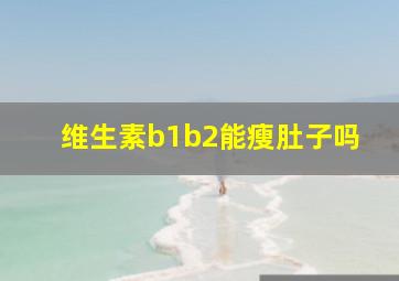 维生素b1b2能瘦肚子吗