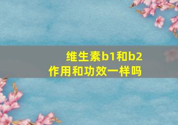 维生素b1和b2作用和功效一样吗