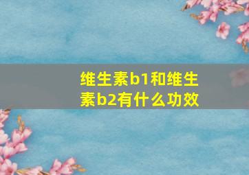 维生素b1和维生素b2有什么功效