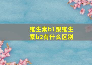 维生素b1跟维生素b2有什么区别