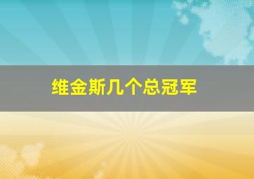 维金斯几个总冠军