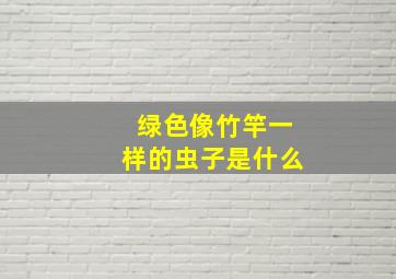 绿色像竹竿一样的虫子是什么