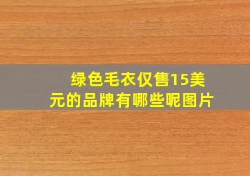 绿色毛衣仅售15美元的品牌有哪些呢图片