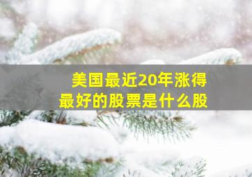 美国最近20年涨得最好的股票是什么股