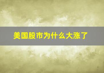 美国股市为什么大涨了