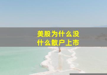 美股为什么没什么散户上市