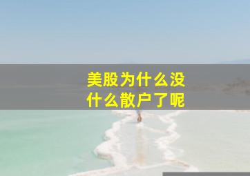 美股为什么没什么散户了呢