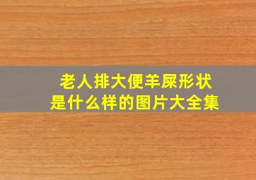 老人排大便羊屎形状是什么样的图片大全集