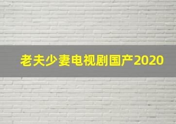 老夫少妻电视剧国产2020