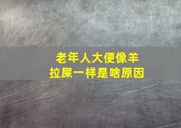 老年人大便像羊拉屎一样是啥原因