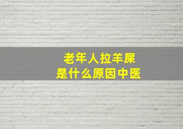 老年人拉羊屎是什么原因中医