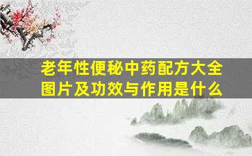 老年性便秘中药配方大全图片及功效与作用是什么