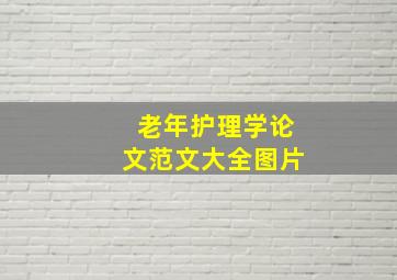 老年护理学论文范文大全图片