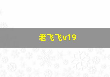 老飞飞v19