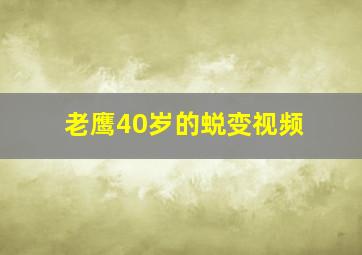 老鹰40岁的蜕变视频