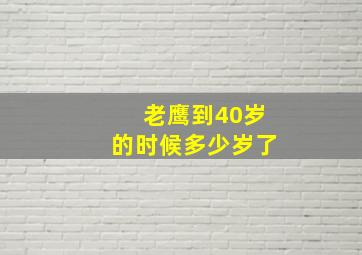 老鹰到40岁的时候多少岁了