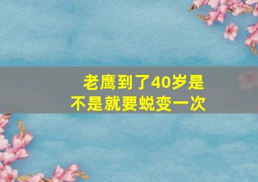 老鹰到了40岁是不是就要蜕变一次