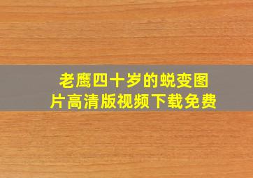 老鹰四十岁的蜕变图片高清版视频下载免费