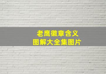 老鹰徽章含义图解大全集图片