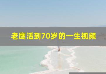 老鹰活到70岁的一生视频