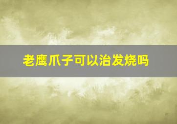 老鹰爪子可以治发烧吗