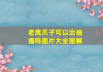 老鹰爪子可以治抽搐吗图片大全图解