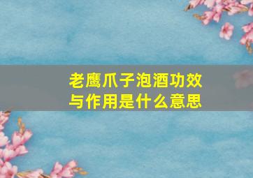 老鹰爪子泡酒功效与作用是什么意思