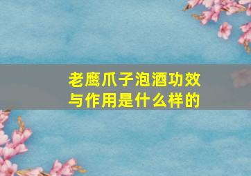 老鹰爪子泡酒功效与作用是什么样的